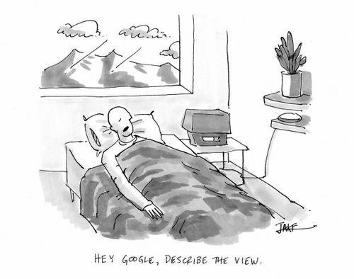 "Hey Google, describe the view."