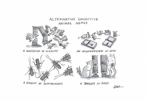 Alternative collective animal names 