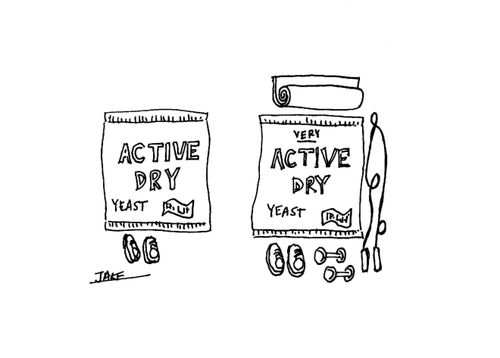 Active dry yeast