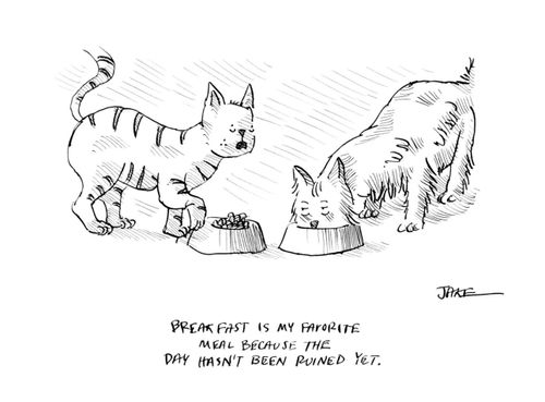 "Breakfast is my favorite meal because the day hasn't been ruined yet."