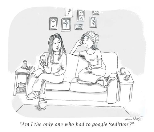 "Am I the only one who had to google 'sedition'?"