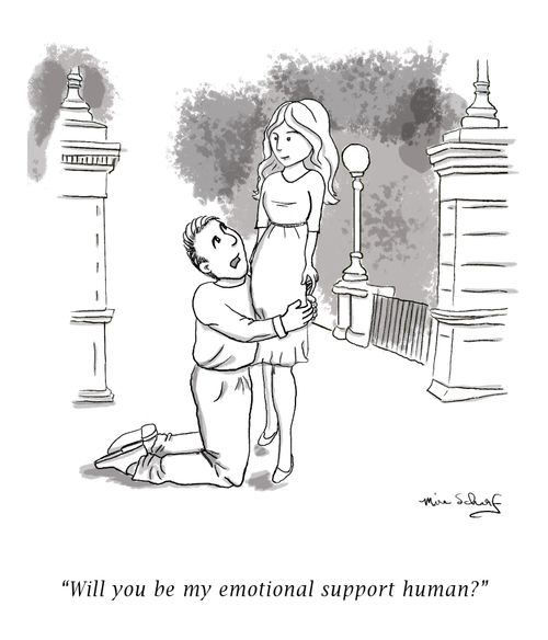 "Will you be my emotional support human?"