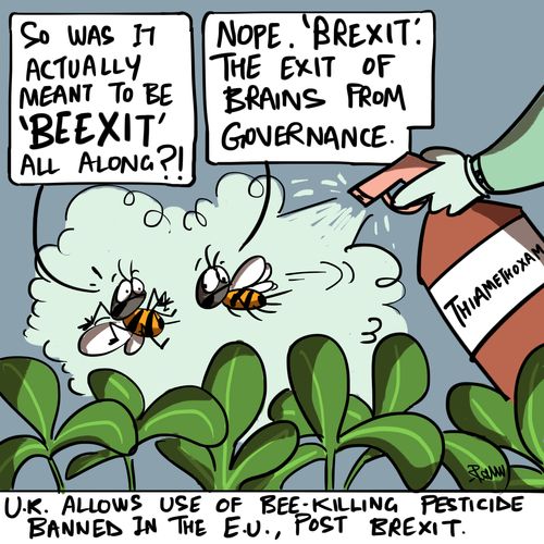U.K. allows use of bee-killing pesticide banned in the E.U., post Brexit.
