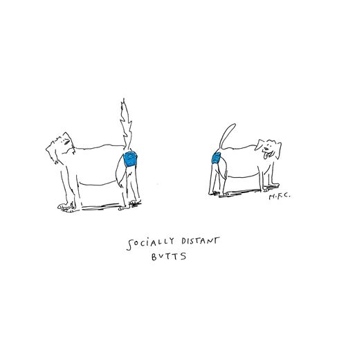 Socially Distant Butts