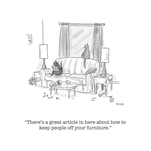 "There's a great article in here about how to keep people off your furniture."