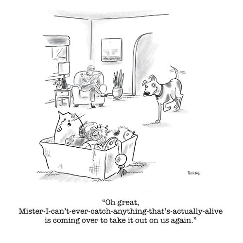 "Oh great, Mister-I-can't-ever-catch-anything-that's-actually-alive is coming over to take it out on us again."