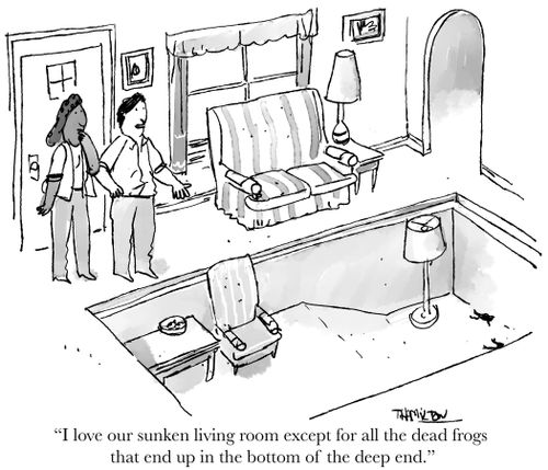 "I love our sunken living room except for all the dead frogs that end up in the bottom of the deep end."