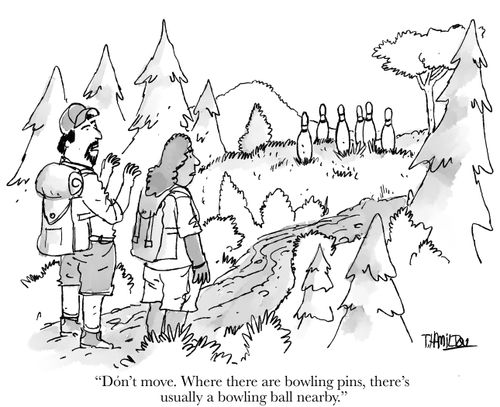 "Don't move. Where there are bowling pins, there's usually a bowling ball nearby."