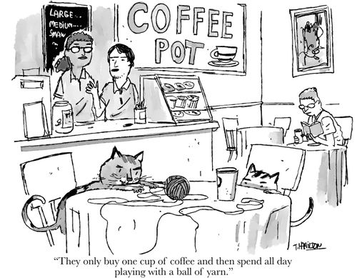 "They only buy one cup of coffee and then spend all day playing with a ball of yarn."
