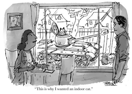 "This is why I wanted an indoor cat."