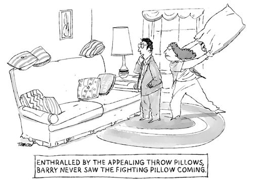 Enthralled by the appealing throw pillows, Barry never saw the fighting pillow coming.