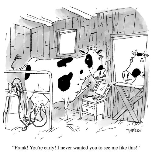 "Frank! You're early! I never wanted you to see me like this!!"
