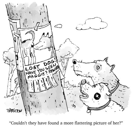 "Couldn't they have found a more flattering picture of her?"