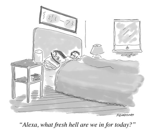"Alexa, what fresh hell are we in for today?"