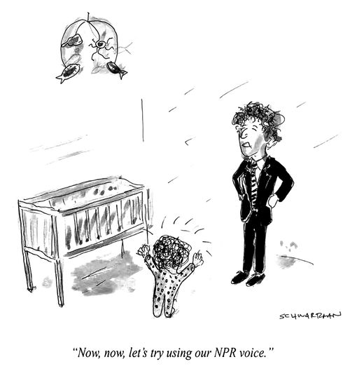 "Now, now, let's try using our NPR voice."