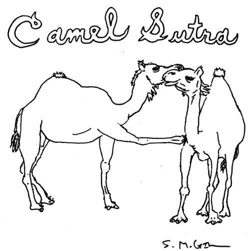 Camel Sutra