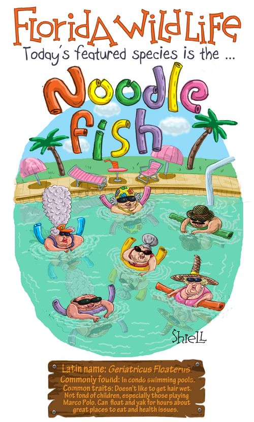 Florida Wildlife - Noodle Fish Special
