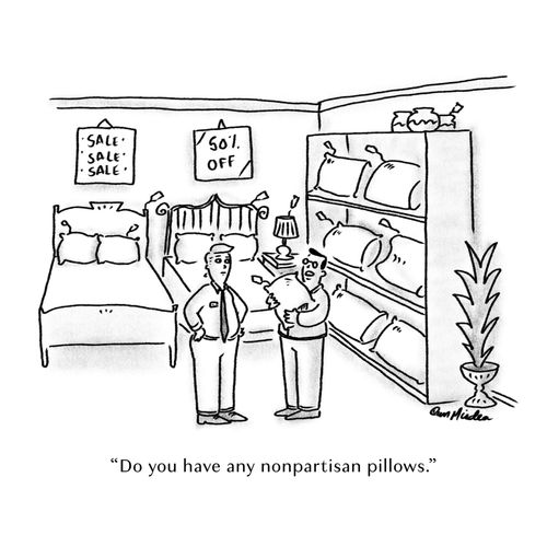 "Do you have any nonpartisan pillows."