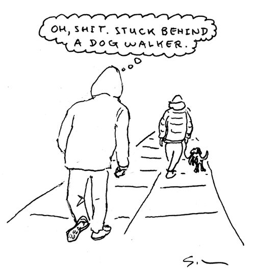Oh, shit. Stuck behind a dog walker.