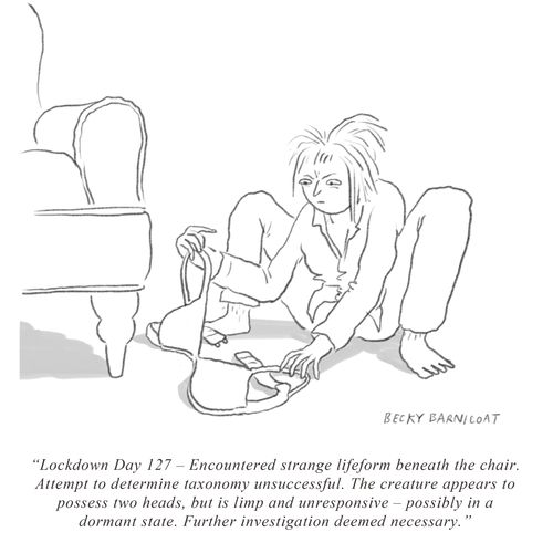 "Lockdown Day 127 - Encountered strange lifeform beneath the chair."