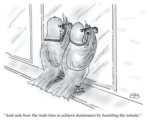 "And note how the male tries to achieve dominance by hoarding the remote."
