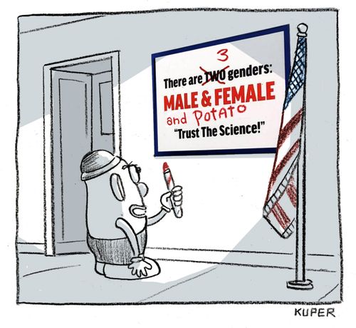 There are 3 genders