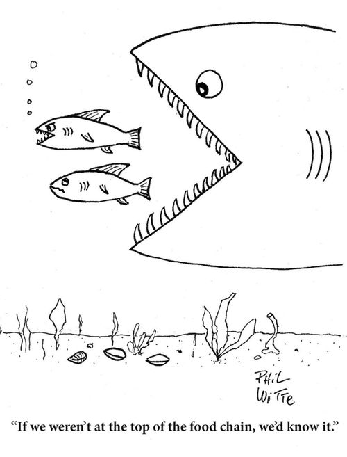 "If we weren't at the top of the food chain, we'd know it."