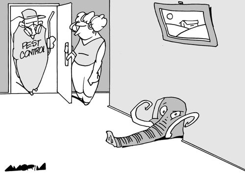 Pest control