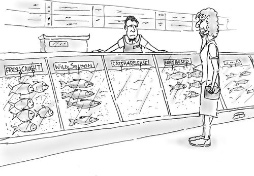 Fishmonger runs out of 'Catch and Release' breed.