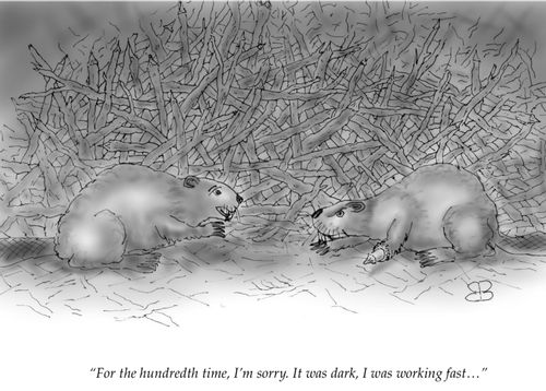 "For the hundredth time, I'm sorry. It was dark, I was working fast..."