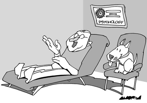 Therapy Dog