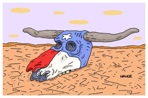 An animal skull painted to represent the Texan flag sits in a dessicated wasteland 