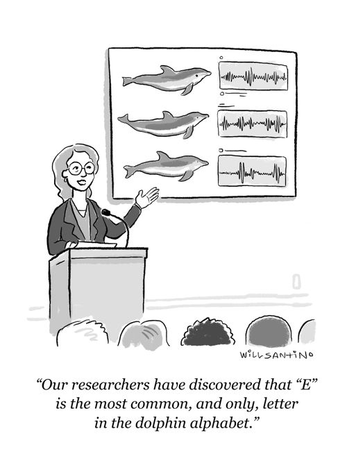 "Our researchers have discovered that 'E' is the most common, and only, letter in the dolphin alphabet."