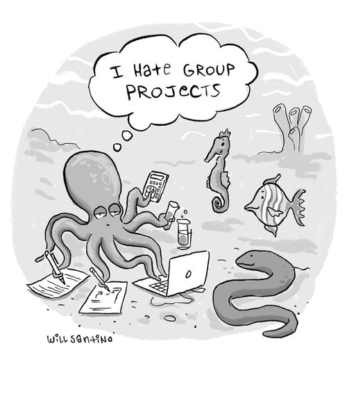 I hate group projects