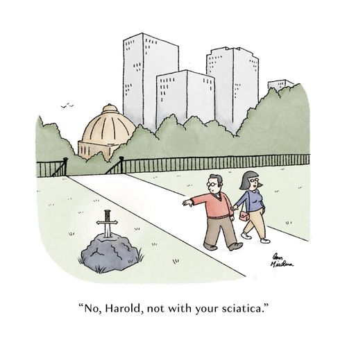 "No, Harold, not with your sciatica."
