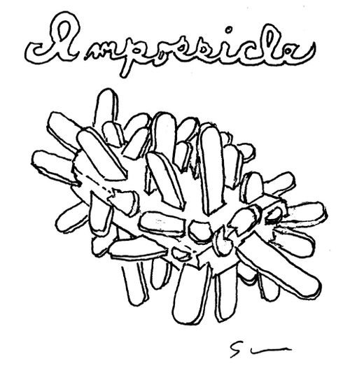Impossicle.