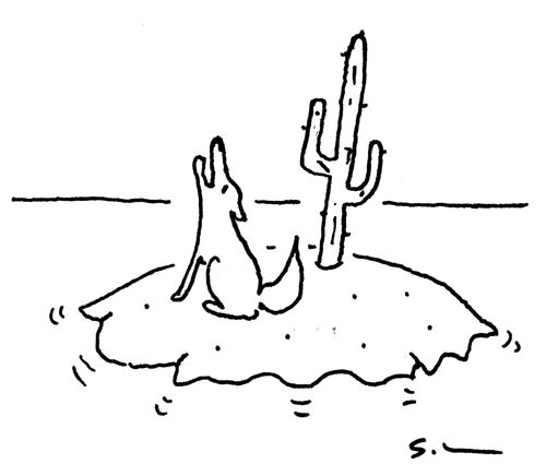 A howling wolf on a desert island