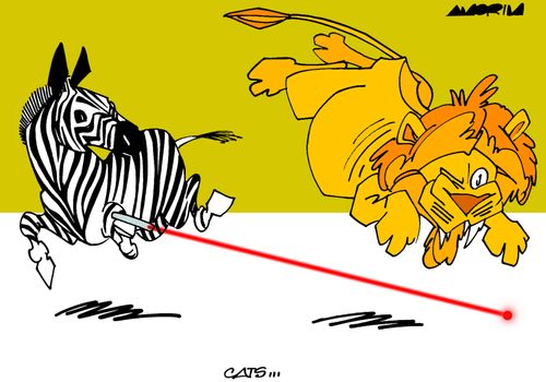 Cats...