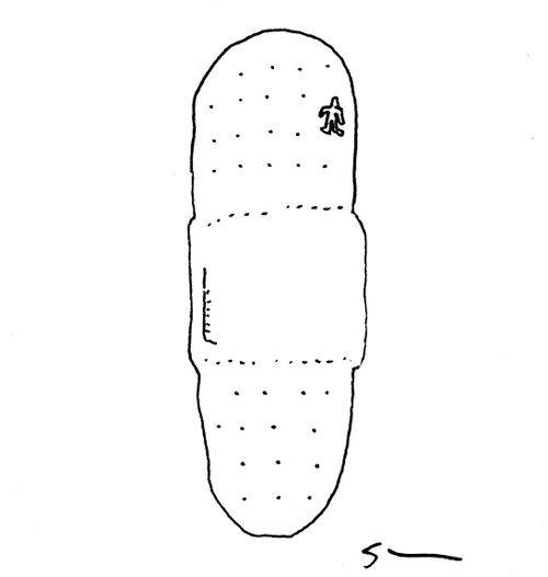 Vaccinated Band-Aid