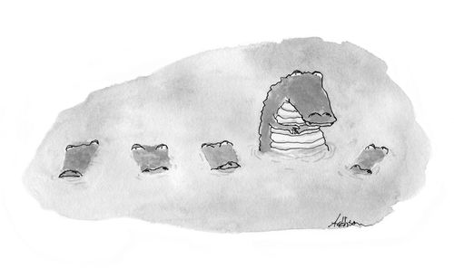 Crocodiles in the Water