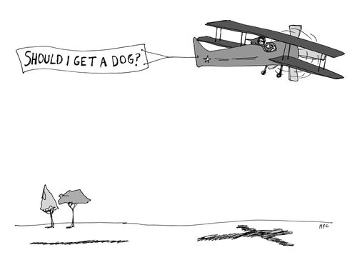 "Should I get a dog?"