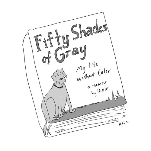 Fifty Shades of Gray 