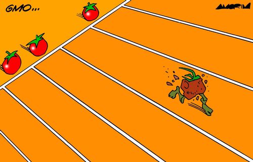 Rotten tomato cheats at start of race.