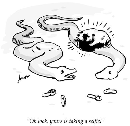 "Oh look, yours is taking a selfie!"