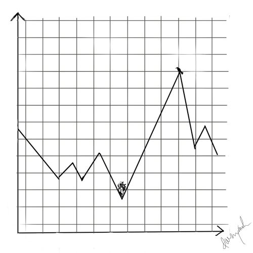 Birdwatches on a graph