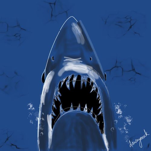 A shark from beneath