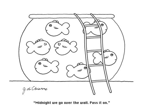 "Midnight we go over the wall. Pass it on."