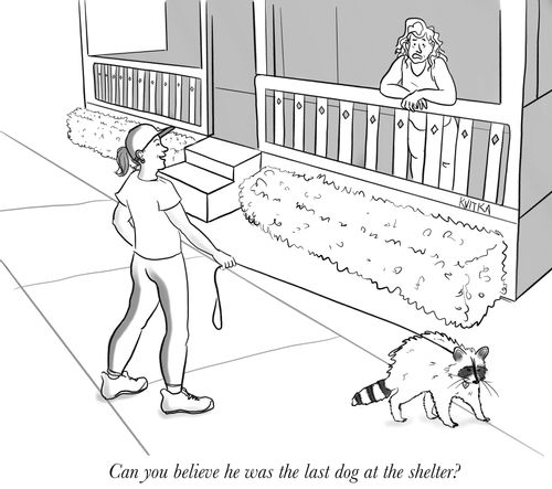 "Can you believe he was the last dog at the shelter?"