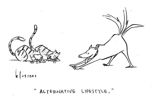 "Alternative lifestyle."