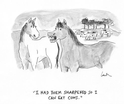 "I had them sharpened so I can eat cows."